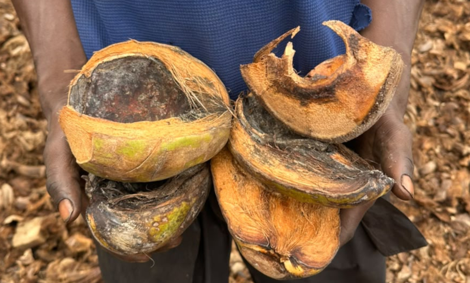 Schulkinder in Uganda